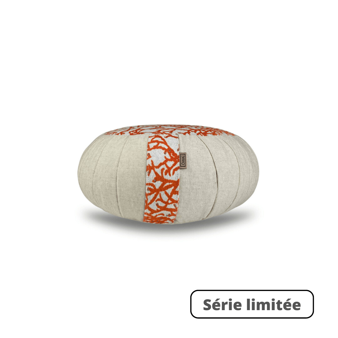 Zabuton Tapis De Méditation U2013 91,4 X 71,1 X 7,6 Cm U2013 Coussin De Méditation Zabuton Pour S'agenouiller Et S'asseoir U2013 Grand Coussin De Sol Pour Banc Zafu U2013 Housse Amovible Et