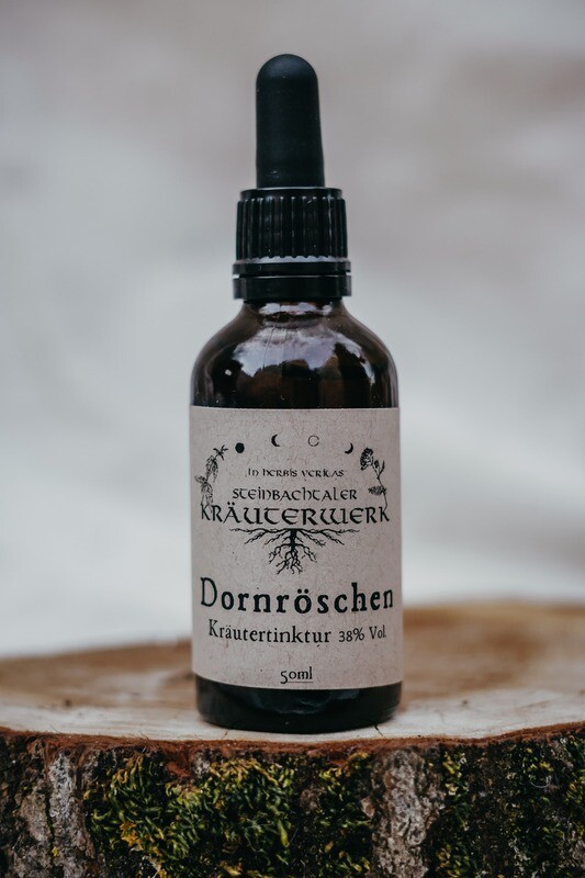 Dornröschen