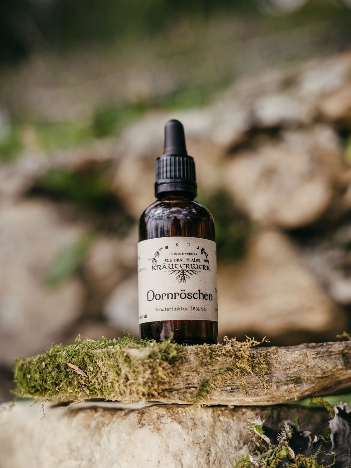 Dornröschen Dornröschen