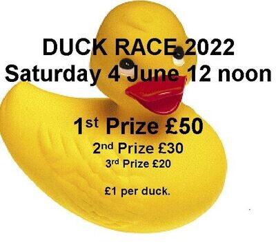 DUCK RACE JUNE 2022