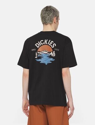 Dickies Beach tee-shirt Noir