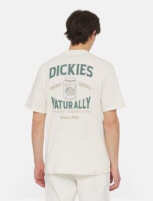 Dickies Elliston tee-shirt Cloud