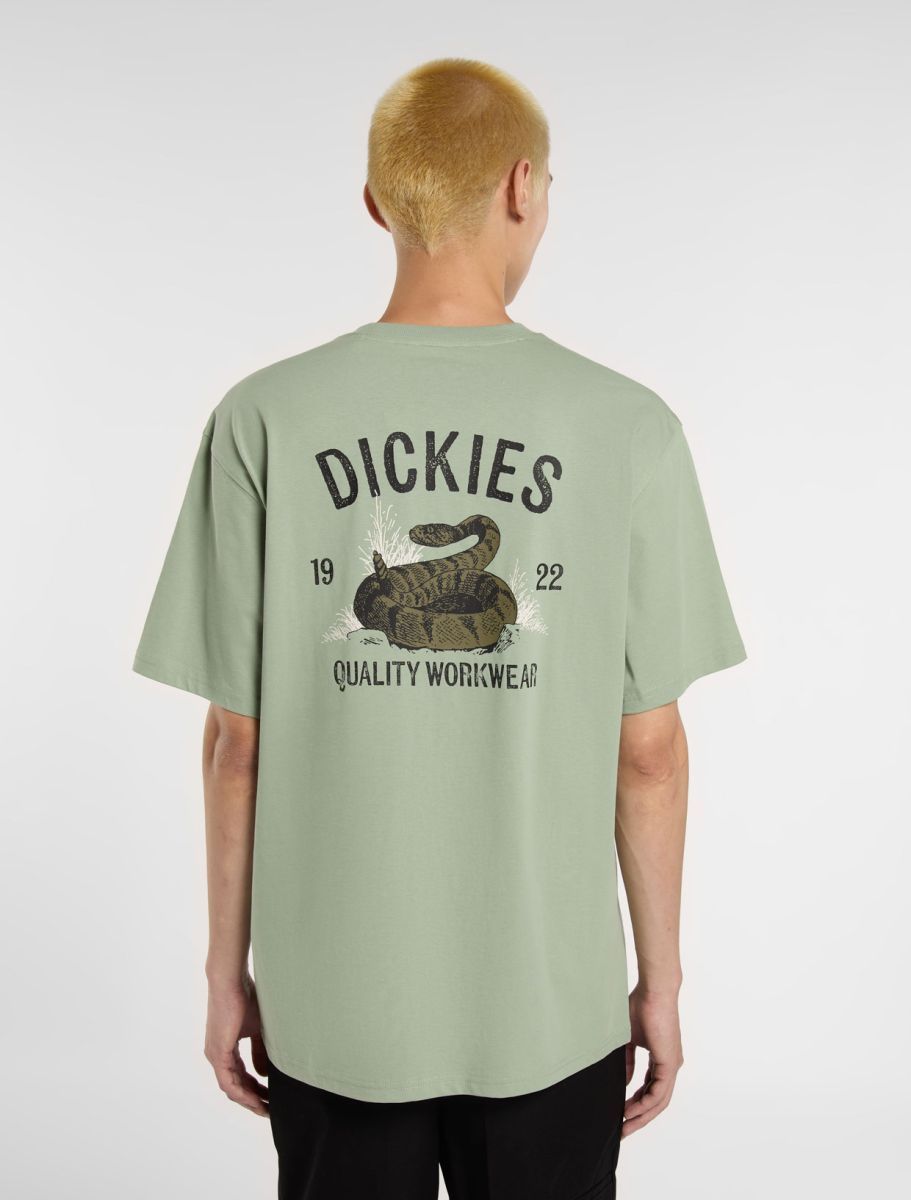 Dickies Tee shirt Snake iceberg green