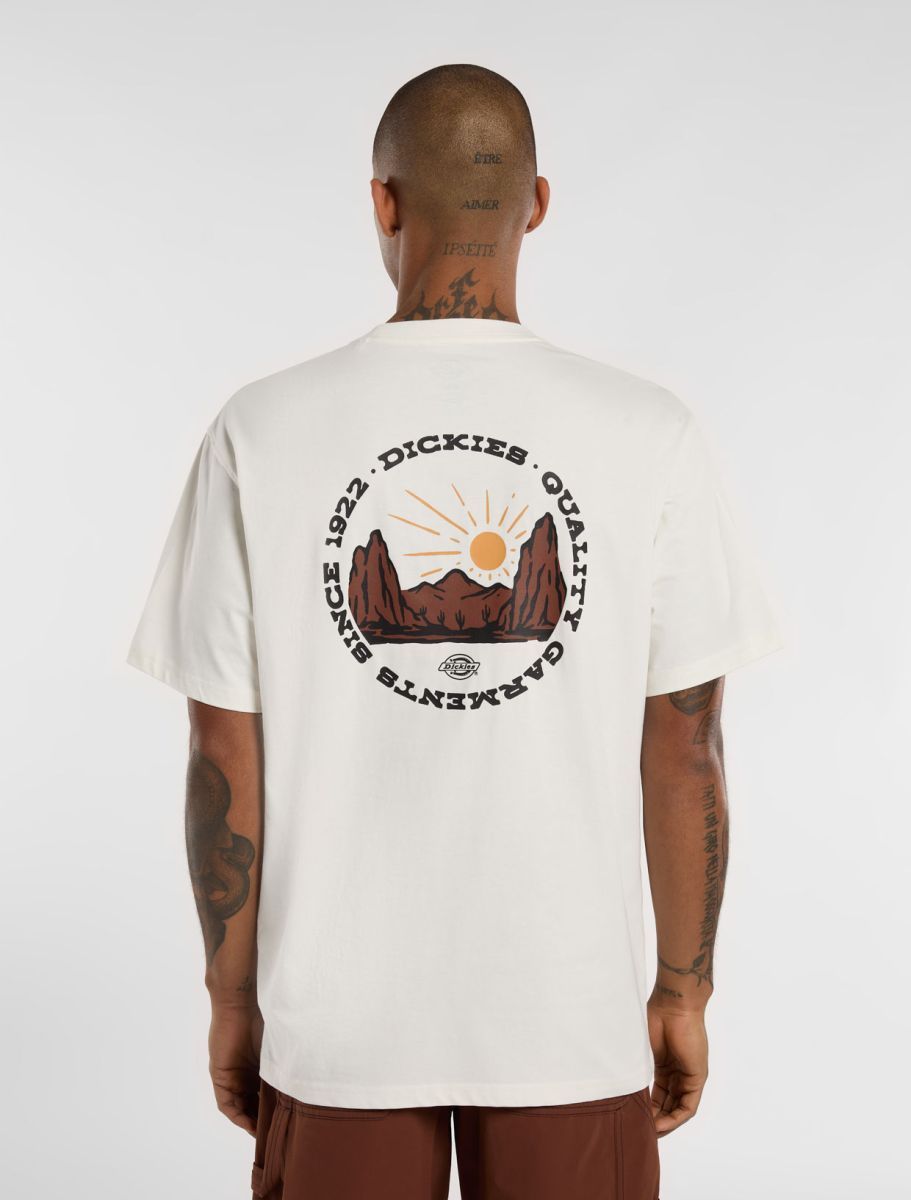Dickies Tee shirt Outdoor Egret