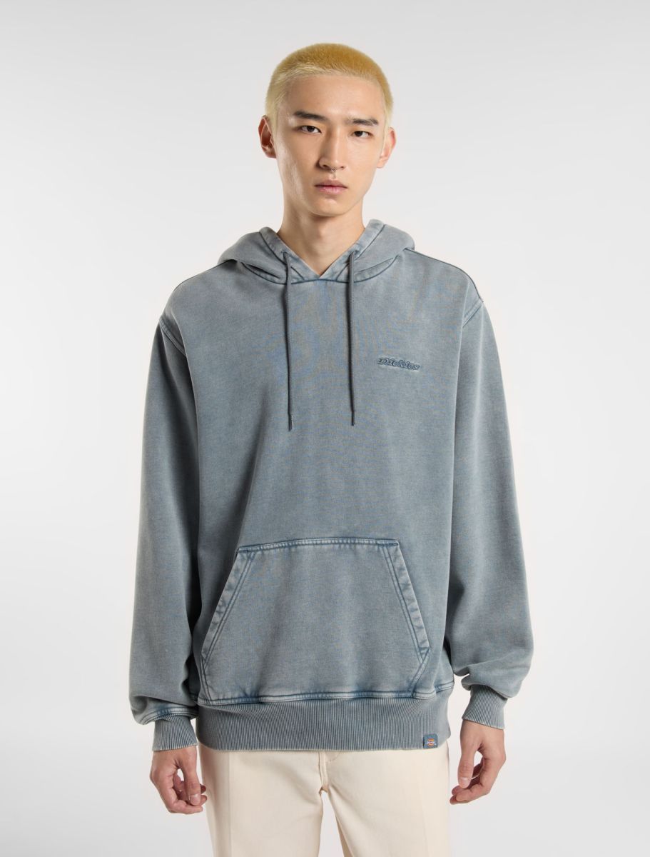 Dickies Hoodie Plentywhood stormy weather