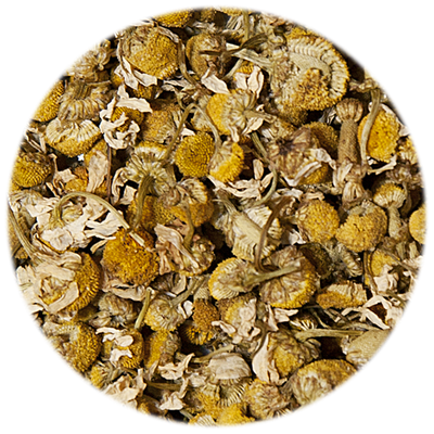 Camomilla Fiorita BIO