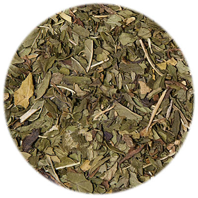 Menta Verde BIO