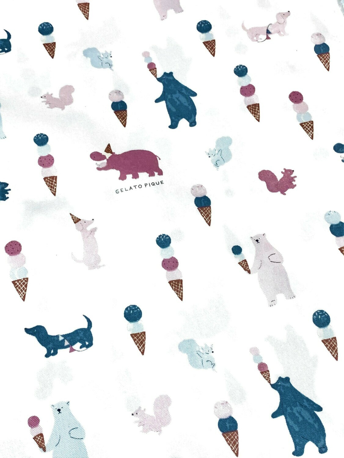 Gelato Bears | Cotton Drill | 145cm wide