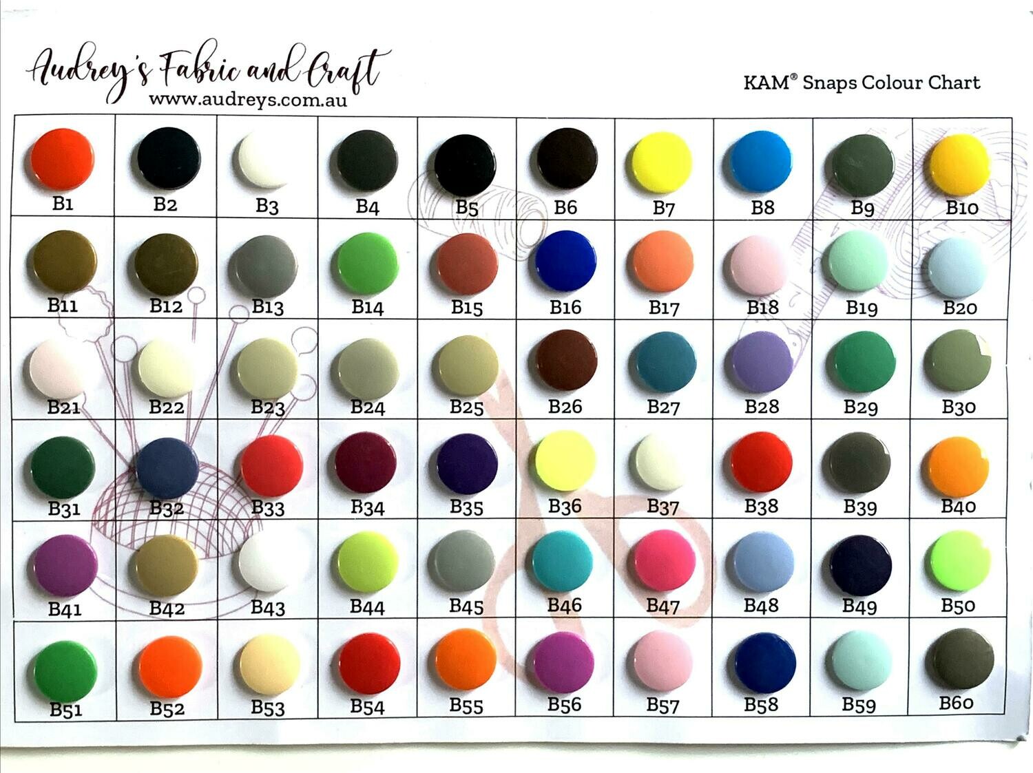 KAM Snaps Colour Chart | Glossy