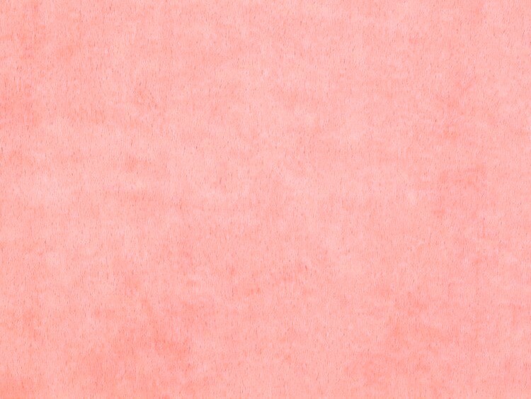Candy Pink | Lightweight Minky Smooth, 170gsm | 170cm Wide - 0.5m Piece