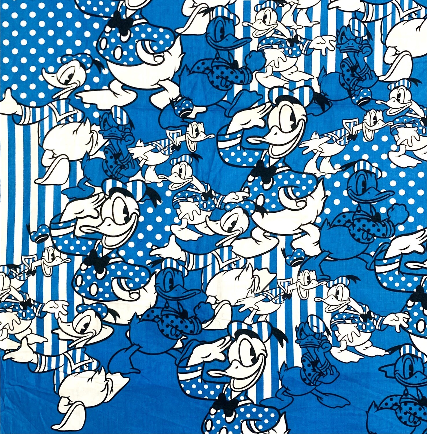 Donald Duck | Licensed Quilting Cotton Panel