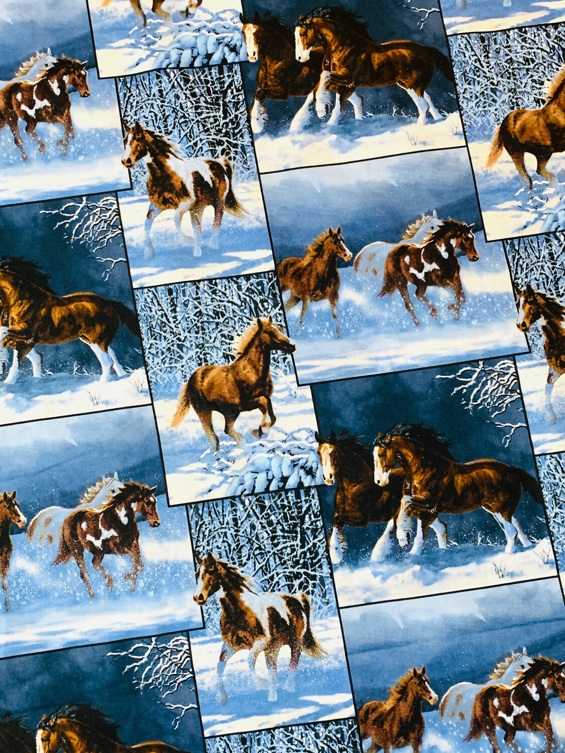 Majestic Horses, Free Reign Patch | Quilting Cotton | 112cm wide