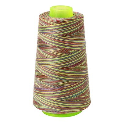 061211 | Rainbow Multicoloured All-Purpose Sewing & Overlocking Thread | 3000y Spool