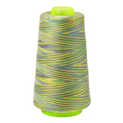 081229 | Rainbow Multicoloured All-Purpose Sewing & Overlocking Thread | 3000y Spool
