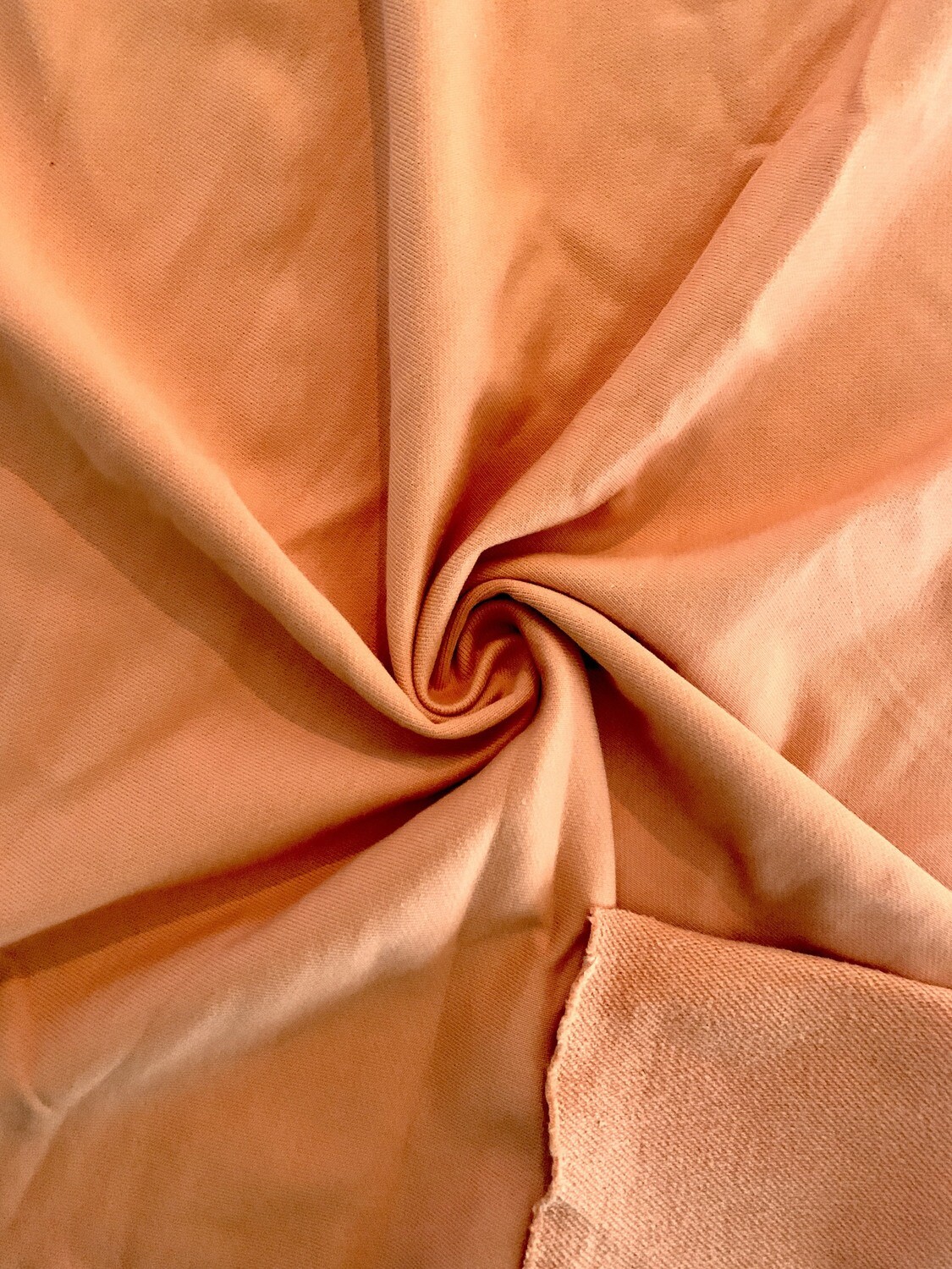 Light Orange | Heavyweight Cotton French Terry Solids, 450gsm | 185cm Wide