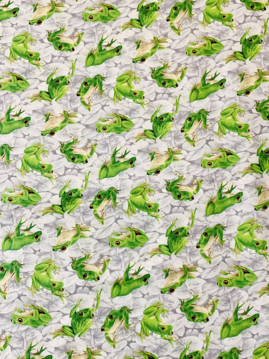 Frolicking Fields, Frogs | Quilting Cotton | 112cm wide