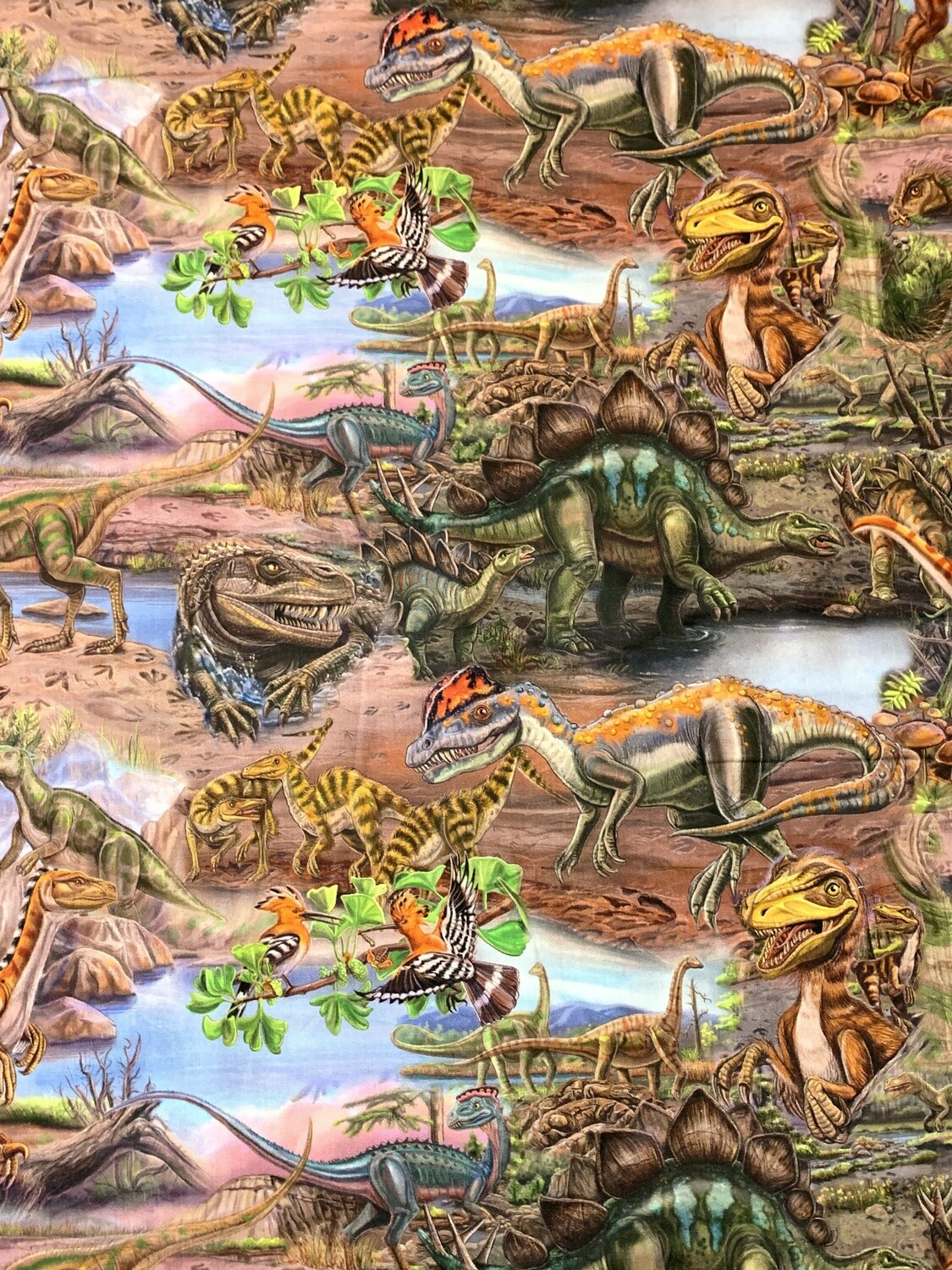 Dinosaurs | Quilting Cotton | 112cm wide - 0.7m Piece