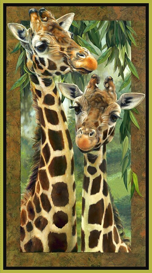 Jungle Giraffes | Digital Print Quilting Cotton Panel