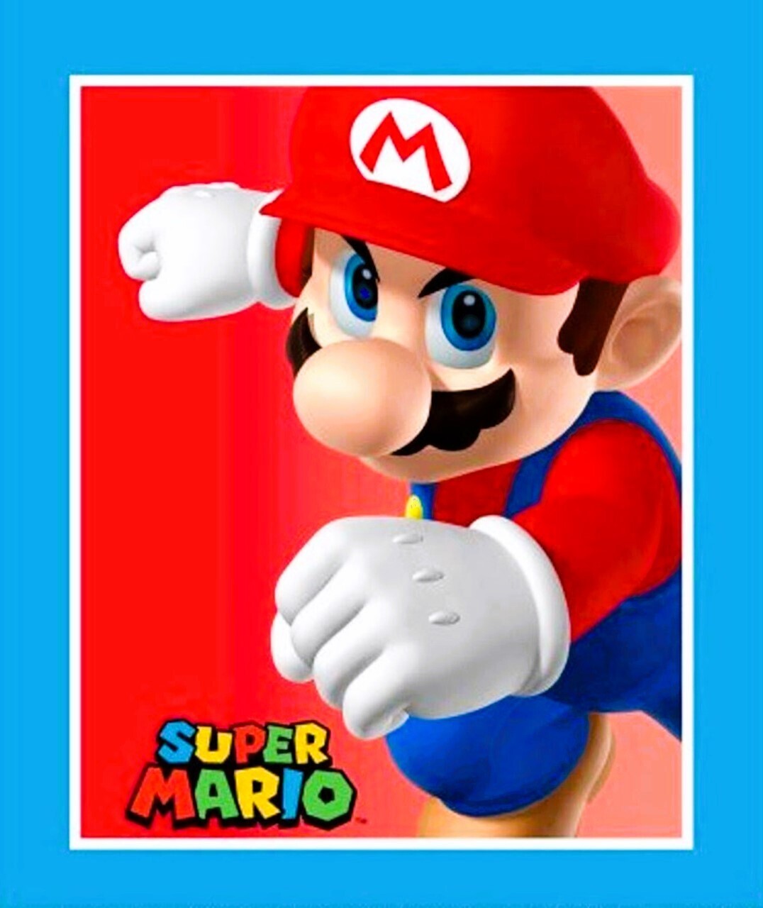 Super Mario | Licensed Quilting Cotton Panel