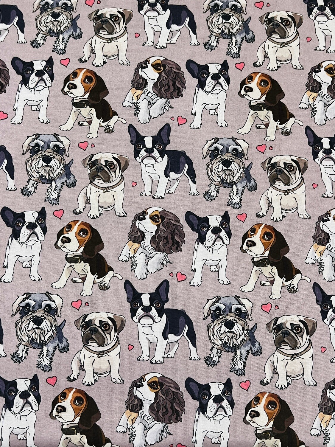 Puppy Eyes | Quilting Cotton | 112cm wide