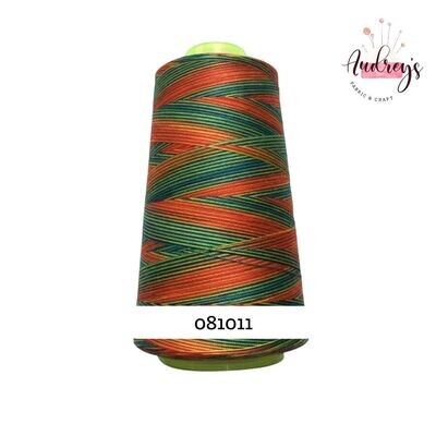 081011 | Rainbow Multicoloured All-Purpose Sewing & Overlocking Thread | 3000y Spool