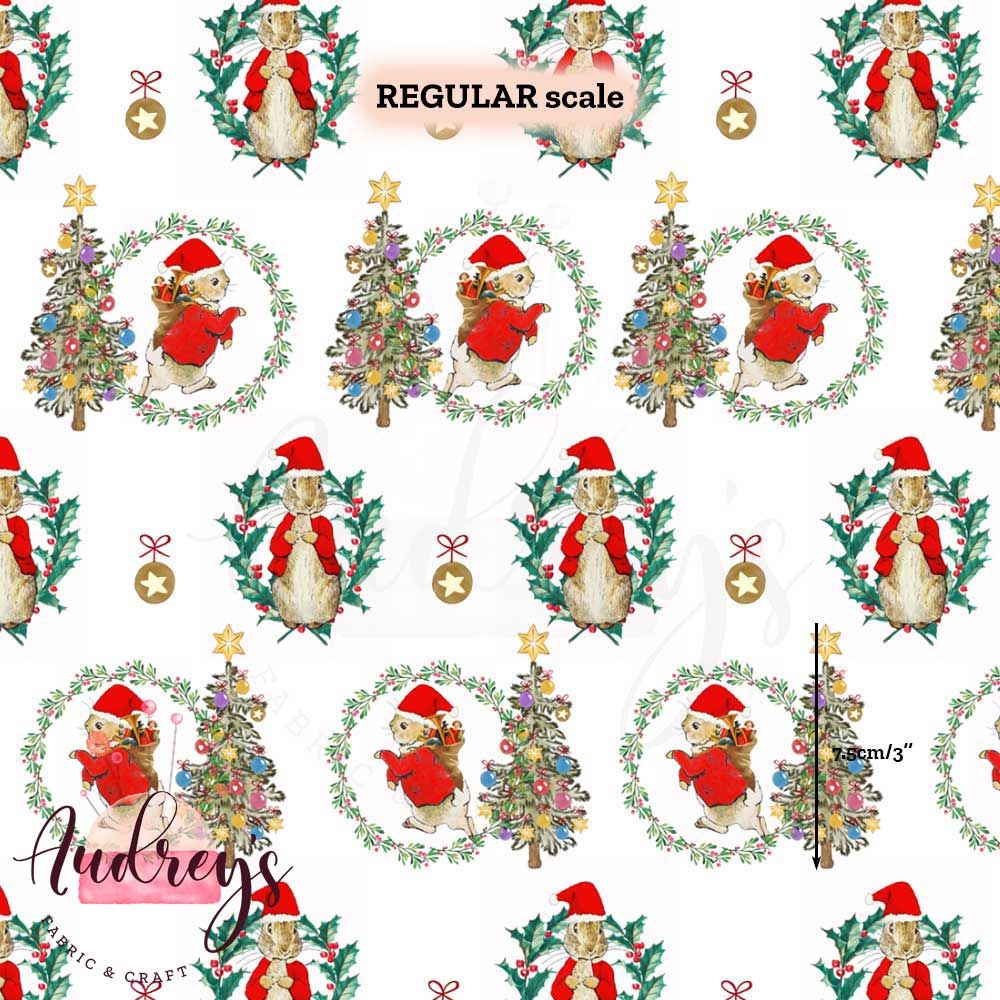 Peter Rabbit, Christmas | PRE-ORDER | Choose Your Own Base