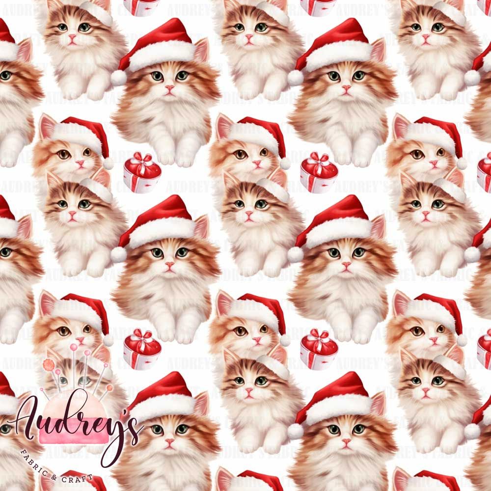 Xmas Kittens | PRE-ORDER | Choose Your Own Base