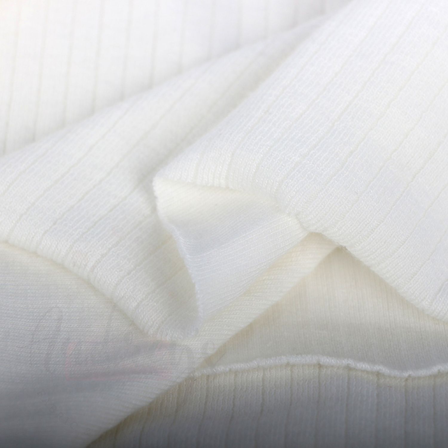 Creamy White | Ribbed Cotton Jersey Knit Fabric, 250gsm