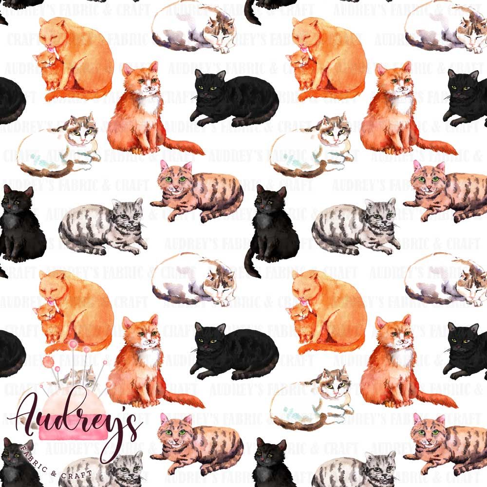 Feline Friends | PRE-ORDER | Choose Your Own Base