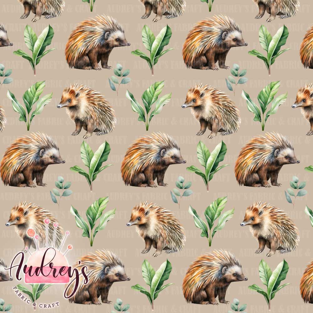 Echidna | PRE-ORDER | Choose Your Own Base