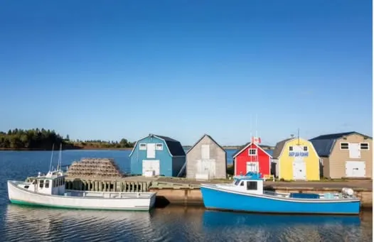 Maritime Fishing Boats | Digital Print Quilting Cotton Panel