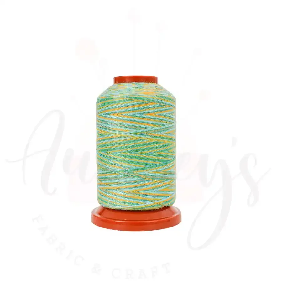 S13 | Multicoloured All-Purpose Sewing &amp; Overlocking Variegated Thread | 1000m Spool