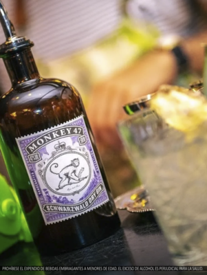 GINEBRAS &amp; GIN