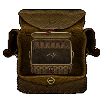 Tarantula Mount