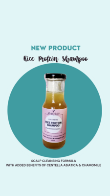Rice Protein Shampoo (Anti Dandruff - Scalp Cleansing Formula)
