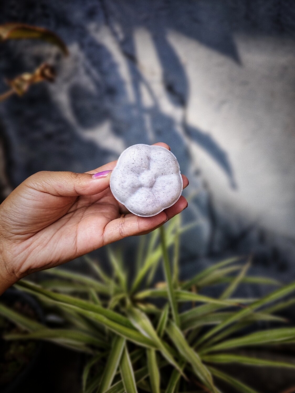 Fermented Rice Shampoo Bar - Hair Repairing 60g