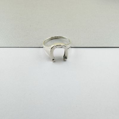 Anillo herraje