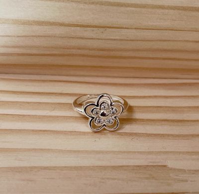 Anillo
