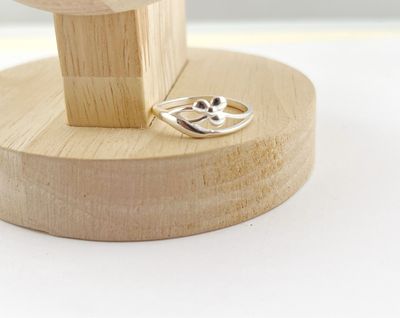 Anillo