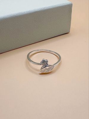 Anillo