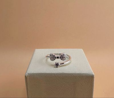Anillo