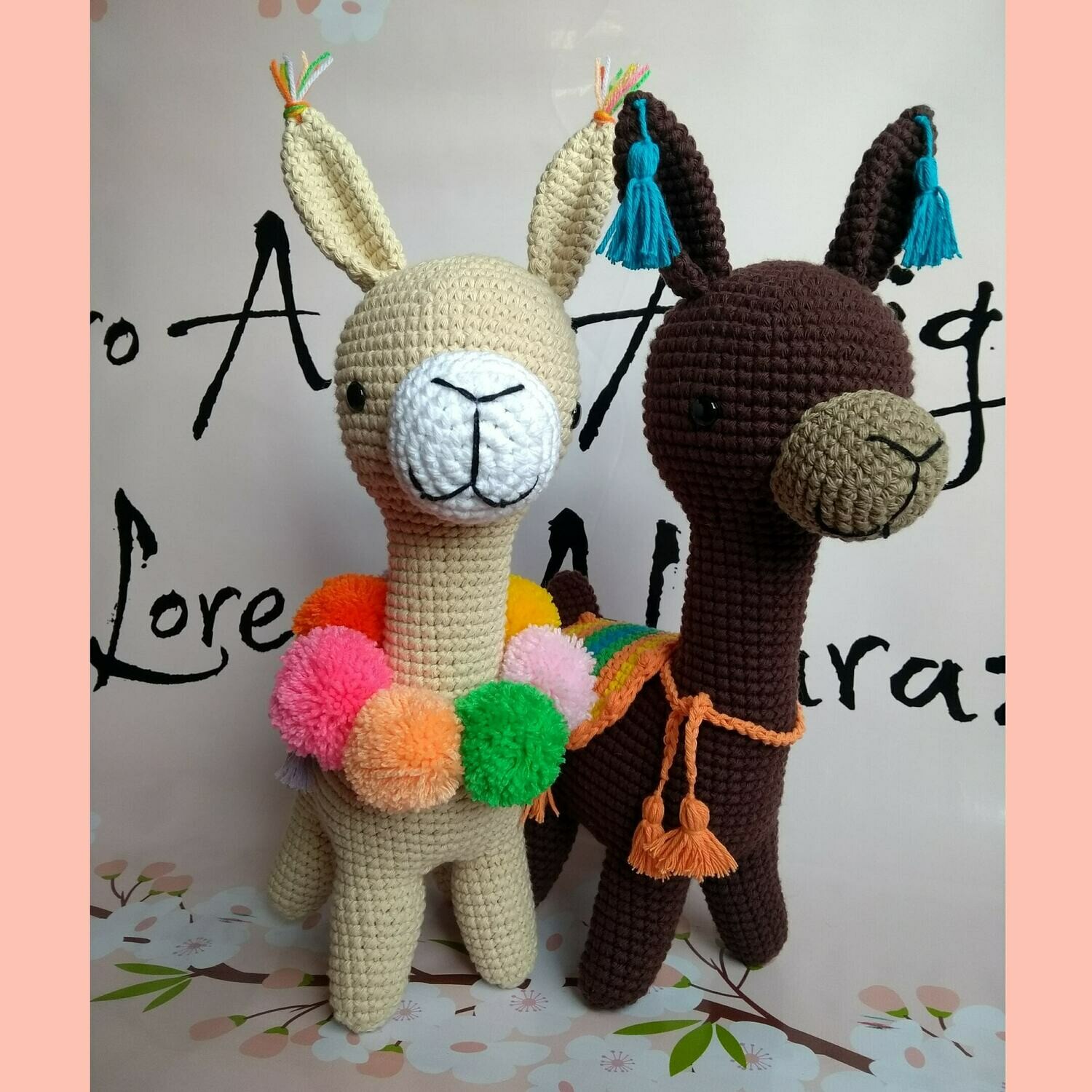 Alpaca Marcia