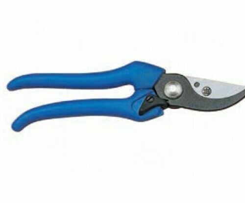 Forbice Per Potare 154 marca DUE BUOI Cm 22 lame in acciaio Forbice Per Potare 154 marca DUE BUOI Cm 22 lame in acciaio
