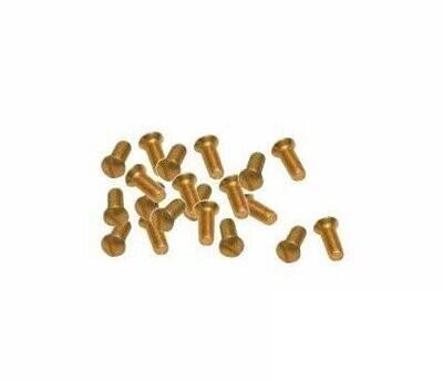 Vite per Coprinterruttore Magic Ottone Lucido Oro Pezzi 10 Vite per Coprinterruttore Magic Ottone Lucido Oro Pezzi 10