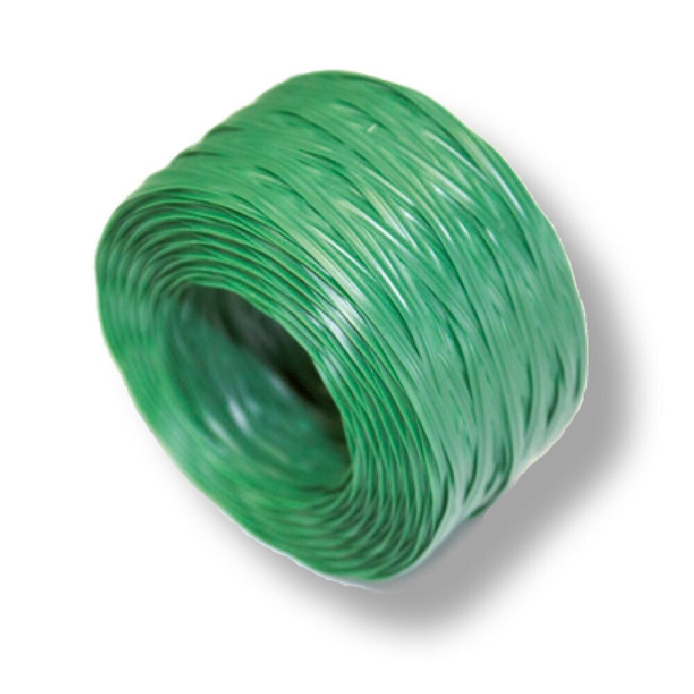 Piattina Filo Verde mt.100