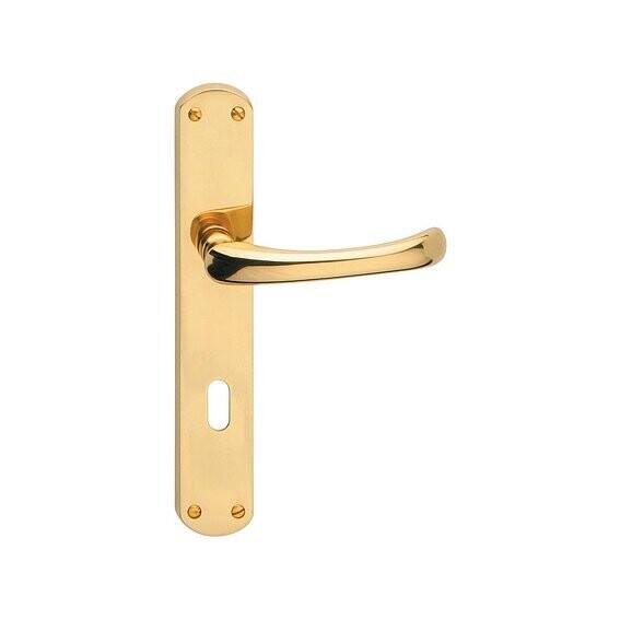 Maniglia Coppia con placca q8/90 in lega. Finitura oro lucido.