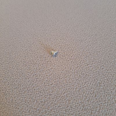 PS62 Skruv till Fjäder