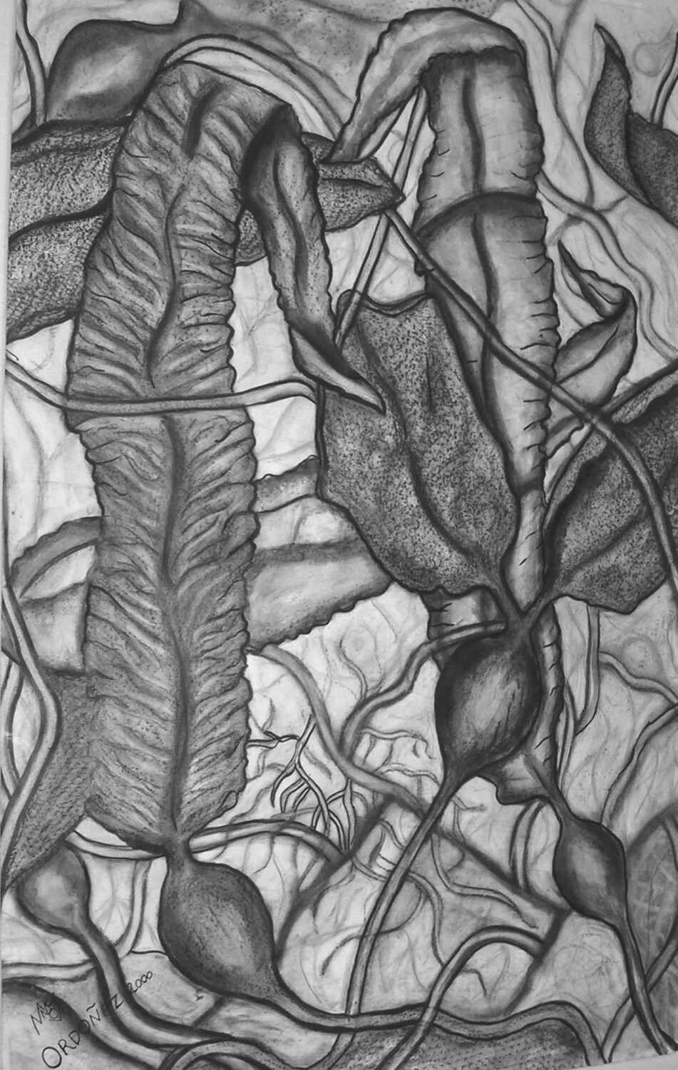 Serie Visiones 


Peninsulares II