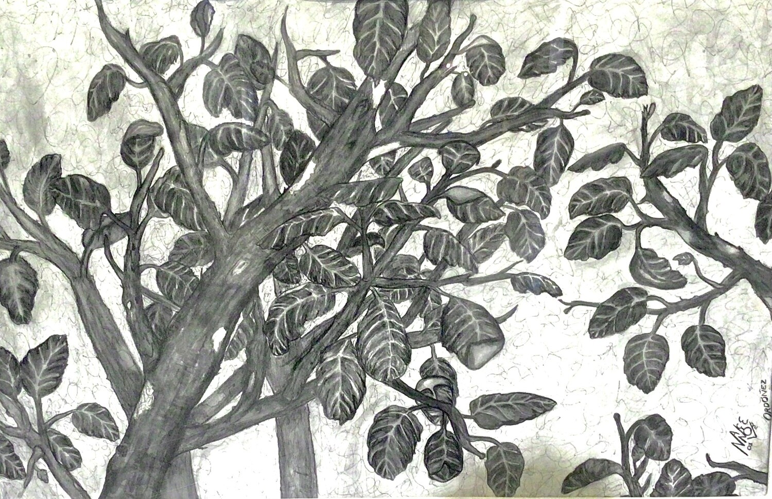 Serie Visiones 


Peninsulares II