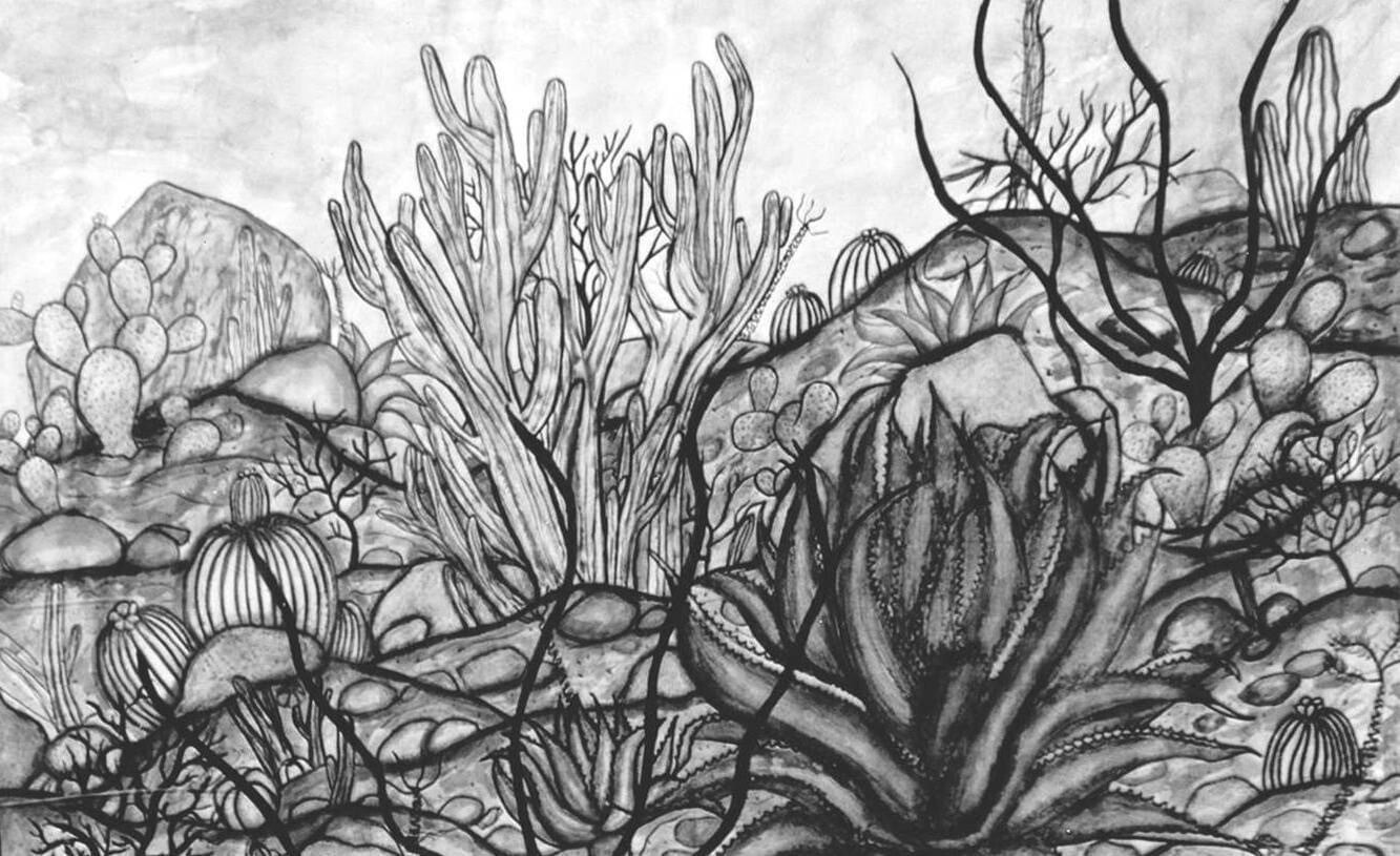 Serie Visiones 


Peninsulares II
